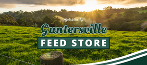 Welcome to Guntersville banner