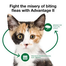 Advantage II Kitten Flea Treatment & Prevention