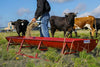 Priefert Bunk Feeder With Powder Coated Metal Liner