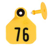 Ytex 4 Star Large Cattle Id Ear Tags Yellow Numbered 76-100