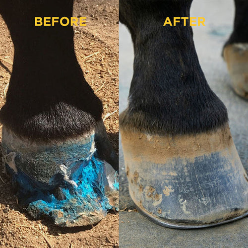 Vetericyn Hoof Care