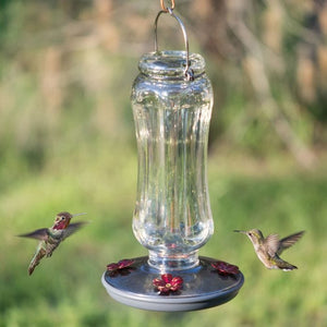 Woodstream Corporation Perky-Pet® Starglow Vintage Glass Hummingbird Feeder