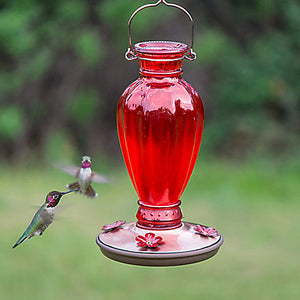 Perky-Pet® Daisy Vase Vintage Hummingbird Feeder - 18 oz Nectar Capacity